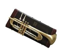 Tromba In Sib Strumento Più Pesante Modello Performance Placcato Oro Ensemble Di Trombe Standard