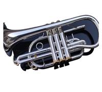 Tromba In Sib Trompeta Professionale Placcata In Argento Con Bocchino E Custodia Per Il Trasporto. Strumento Musicale (Color : Slive and gold)