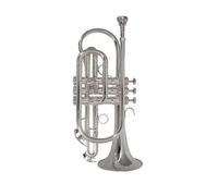 Tromba In Sib Trompeta Professionale Placcata In Argento Con Bocchino E Custodia Per Il Trasporto. Strumento Musicale (Color : Sliver)