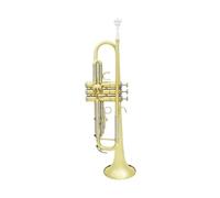 Tromba Musicale Professionale In Sib Si Materiale In Ottone Piatto Trompeta Strumento A Fiato Con Accessori Per Custodia Per Cinturino Per Bocchino (Color : Gold Silver)