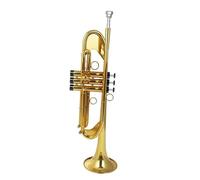 Tromba Per Principianti Amante Della Musica Tromba Dorata Strumento Piatto In Ottone Argento(Golden)
