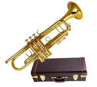 Tromba Per Principianti Anniversario Tromba Pipa B Strumento Piatto Ottone Ottimo Per Principianti