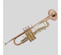 Tromba Per Principianti B Strumento A Tromba Tricolore In Bronzo Fosforoso Piatto Per Principianti Adulti Band Professionale Che Suona Senza Sforzo
