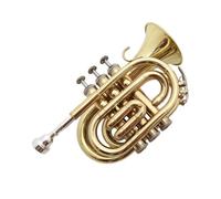 Tromba Per Principianti Golden Palm Tromba Tromba Tascabile Strumento B Piatto Esame Per Principianti Esibizione Della Banda