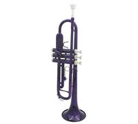 Tromba Per Principianti Set Di Trombe In Sib Standard In Ottone Viola Per Principianti Con Guanti Rigidi