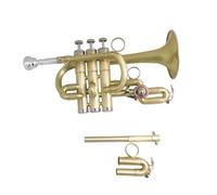 Tromba Per Principianti Sib/A Piccolo Tromba Strumenti Musicali Spazzola Finiture Corpo In Ottone Con Custodia(D)
