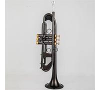 Tromba Per Principianti Strumenti Musicali Professionali Con Chiave In Oro Nichel Nero Tromba Piccola In Sib Con