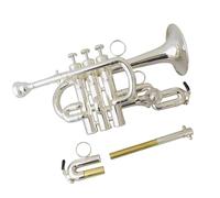 Tromba Per Principianti Strumenti Musicali Tromba Piccola Sib/La Finitura Laccata Corpo In Ottone Giallo Con Custodia(C)