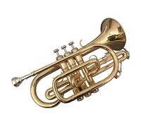 Tromba Per Principianti Strumento A Cornetta Lacca Dorata Strumento A Tromba In Si Bemolle Banda Per Prestazioni Professionali Principiante