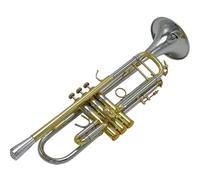 Tromba Per Principianti Strumento A Tromba Con Design In Stile Ponderato Materiale Del Corpo In Tubo Di Rame Bianco Strumento A Tromba