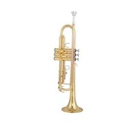 Tromba Per Principianti Strumento A Tromba In Si Bemolle Per Esami Di Livello Principianti E Per Suonare Strumenti A Fiato(Gold 1)