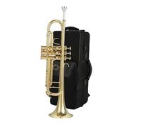 Tromba Per Principianti Strumento A Tromba In Si Bemolle Test Di Valutazione Dello Strumento Tromba Strumento Professionale Per Principianti(A)