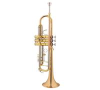 Tromba Per Principianti Strumento A Tromba Standard Professionale In Chiave SI Bemolle Livello Di Prestazione Professionale Per Gruppi Per Adulti Principianti(E)