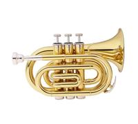 tromba Per Principianti Strumento In Ottone Professionale Mini Tromba Tascabile In Sib Con Accessori(Gold)
