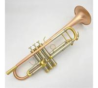 Tromba Per Principianti Strumento Musicale A Tromba Il Bronzo Fosforoso Spazzolato Amplifica La Qualità Del Suono E La Tromba Spessa