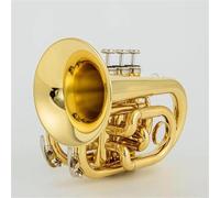 Tromba Per Principianti Strumento Musicale A Tromba Modello Tascabile Portatile In Ottone Si Bemolle Professionale Con Valigia Rigida