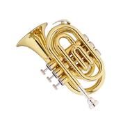 tromba Per Principianti Strumento Professionale In Ottone Mini Tascabile In Sib Con Custodia Per Il Trasporto(Gold)