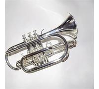 Tromba Per Principianti Strumento Professionale Per Tromba E Cornetta Piatta In Sib Placcato Argento Con Custodia Per Il Trasporto