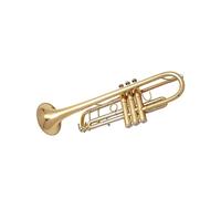 tromba Per Principianti Strumento Tromba In Si Bemolle In Ottone Laccato Oro Per Adulti E Principianti Strumento A Fiato Dedicato