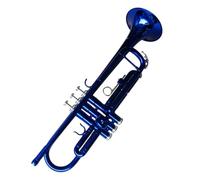Tromba Per Principianti Test Di Grado Per Principianti Dello Strumento A Tromba Prestazioni Della Banda Piatta Di Colore Blu B