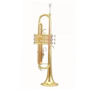 Tromba Per Principianti Tromba B Strumento A Tromba Piatto Laccato Oro Adatto Per L'orchestra Della Scuola Di Insegnamento Per Principianti