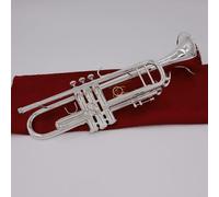 Tromba Per Principianti Tromba D'argento Pipa B Strumento Piatto Tromba Per Strumenti In Ottone Per Principianti