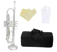 Tromba Per Principianti Tromba In Sib Dorata In Si Bemolle Strumento In Ottone Professionale Corno Di Grande Diametro Con Scatola E Accessori Per Strumenti Musicali(Silver)