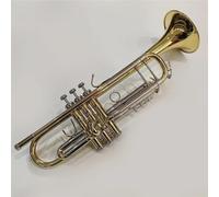 Tromba Per Principianti Tromba In Sib Professionale In Ottone Standard Con Custodia Per Il Trasporto(Gold)