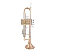 Tromba Per Principianti Tromba Placcata In Argento Ottone Lacca Dorata B Piatto Tromba Per Strumenti Musicali Con Custodia(Gold 1)