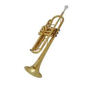 tromba Per Principianti Tromba Professionale In Oro In Si Bemolle Con Tubo Di Piombo Invertito E Scatola