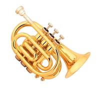 Tromba Per Principianti Tromba Professionale In Ottone Con Corpo In Ottone Laccato Dorato Tromba Tascabile Tono In Sib