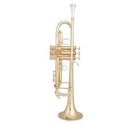 Tromba Per Principianti Tromba Professionale In Ottone Placcato Argento Tromba Piccola Professionale In Sib(Gold)