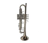 Tromba Per Principianti Tromba Professionale Standard In Ottone In Sib Con Custodia Per Principianti(Nickel)