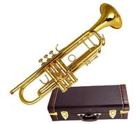 Tromba Per Principianti Tromba Tromba Pipa Strumento Piatto Ottone Principiante Strumento Musicale Professionale Per Adulti