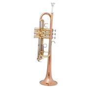 Tromba Per Principianti Tubo In Ottone Tono C Piccola Tromba Regolabile Doppio Corno Superficie Placcata Oro Strumenti Musicali Professionali