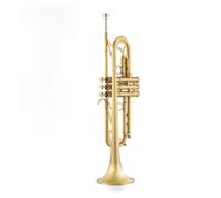 Tromba Per Strumenti A Tromba Spazzolata Opaca Per Prestazioni Professionali