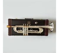 Tromba per strumenti da gioco professionale in Sib, la tromba preferita per gli esami di grado