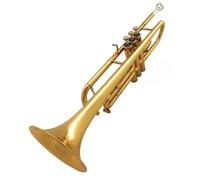 Tromba Per Strumenti In Corno In Ottone Facile Da Suonare Per I Principianti