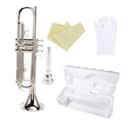 Tromba Per Strumenti In Ottone Si Bemolle Tromba In Ottone Scatola In Schiuma Pratica Per Principianti Professionale Che Suona La Tromba A Tre Toni(Silver)