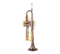 Tromba Piccola In Sib Strumenti Musicali Professionali Con Chiave Dorata In Bronzo Rosso Con Custodia
