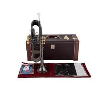 Tromba Piccola In Sib Strumenti Musicali Professionali Con Chiave In Oro Nichel Nero Con Custodia