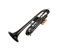 Tromba Piccola In Sib Strumenti Musicali Professionali Con Chiave In Oro Nichel Nero Con Custodia