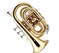 Tromba Portatile Si Bemolle Cornetta Tascabile Strumento In Ottone Per Adulti In Acciaio Inossidabile Strumento Musicale Professionale