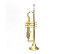 Tromba Principiante Test Performance Strumento A Tromba B Bemolle Professionale Strumento A Tromba