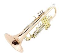 Tromba principianti B Body Brass Trombet Brass È Adatto Per I Principianti Alle Prestazioni Professionali Della Banda Di Gioco Tromba Professionale