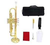 Tromba principianti B-flat Fosphor Bronze Trumpet È Adatto Per I Principianti Per Eseguire Professionalmente Gli Strumenti Di Tromba Dell'esame Della Valutazione Tromba Professionale