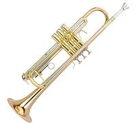 Tromba principianti B-flat Trombet Phosphor Bronze Bronzo Blown Trombet Trombet Professional Introduzione Tromba Professionale