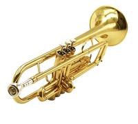 Tromba principianti B In Ottone Strumenti Musicali Tromba Piatta Che Gioca Principiante Tromba Professionale Tromba Professionale