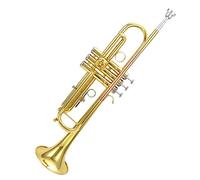 Tromba principianti B Tromba Flat Tromba Strumenti Musicali Brass Phosphor Bronze Glassation ExamE Examit Professional Trombet Tromba Professionale
