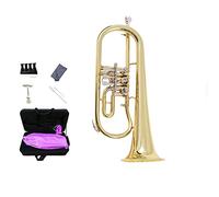 Tromba principianti B Tromba In Ottone Piatta Brass È Adatto Per Studenti E Principianti Tromba Professionale